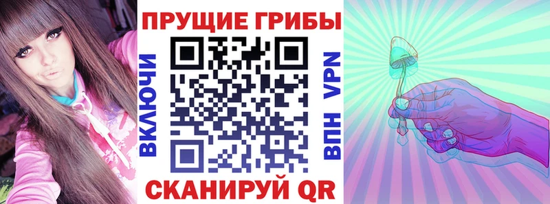 площадка формула  Рошаль  Галлюциногенные грибы Psilocybe  гидра ONION 